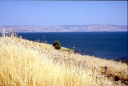 Scene of Hillside Discourse (NHM 5-8.1)